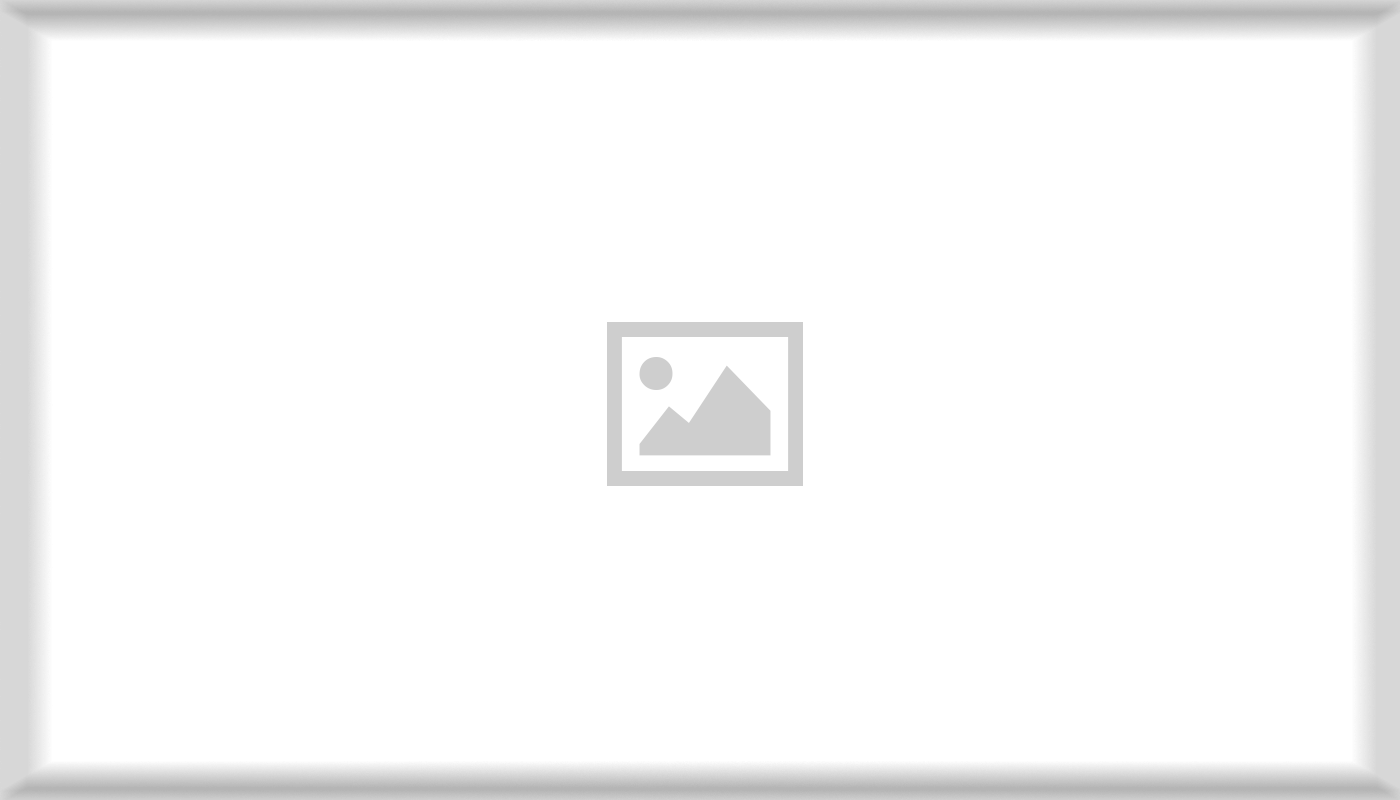 Otros - Guía definitiva para elegir la caña de pescar perfecta